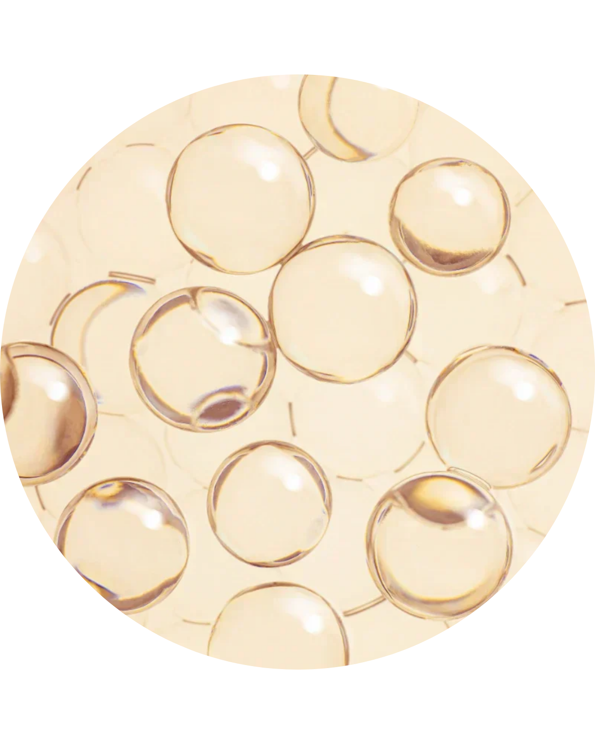 7_972b7baf-fd44-42c7-84c0-331aa5b8e447.png