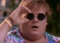 gif_wow.gif